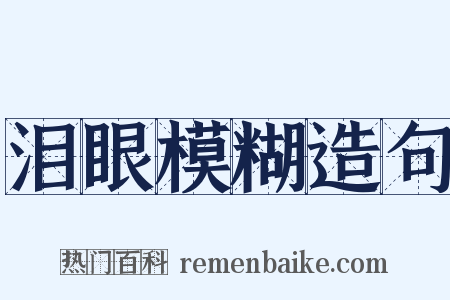 泪眼模糊造句是什么意思的图片